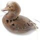Lampe signée Agnès Escala Zoomorphe Canard circa 1970