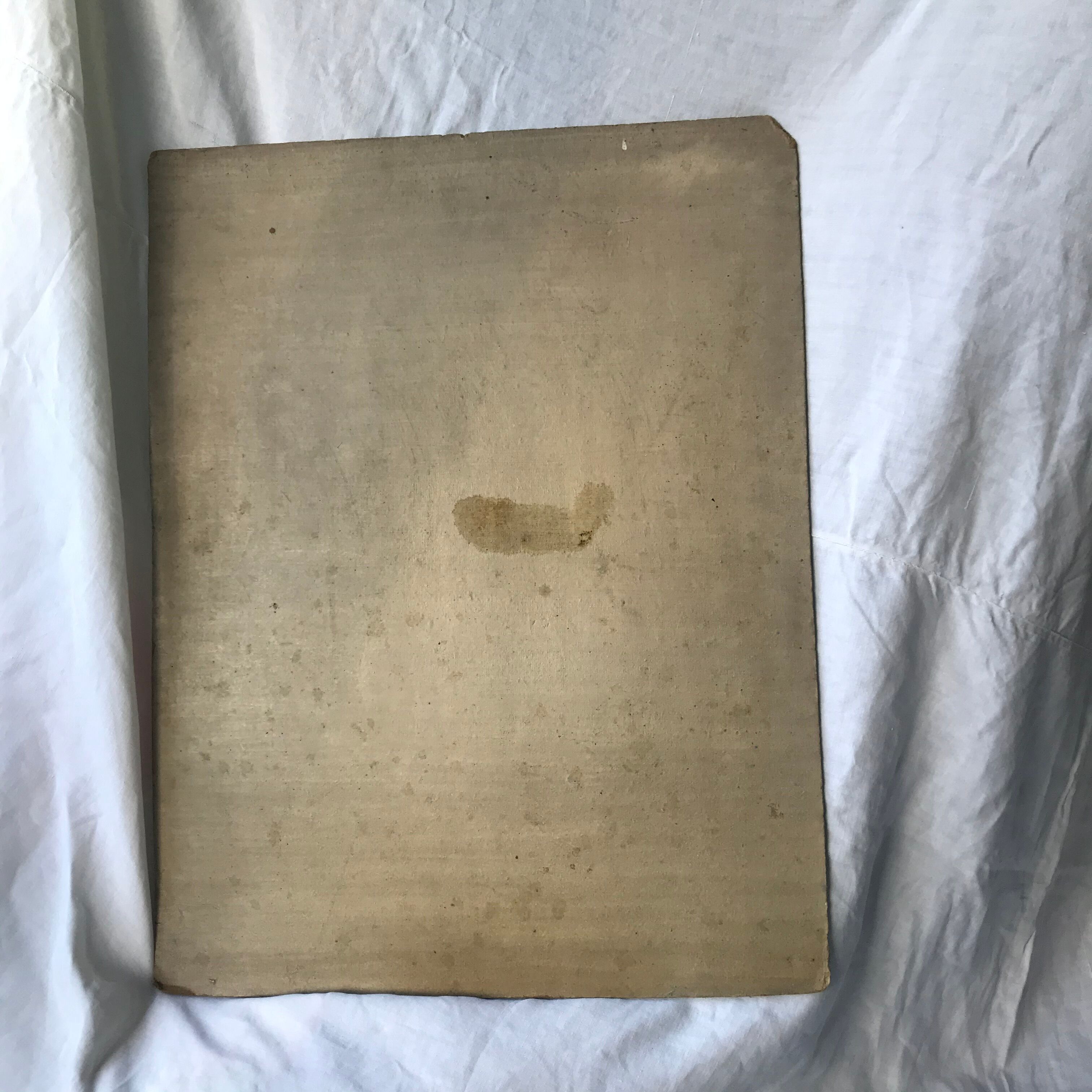 Old oil painting on large format cardboard 1920 nymph at the edge of a lake