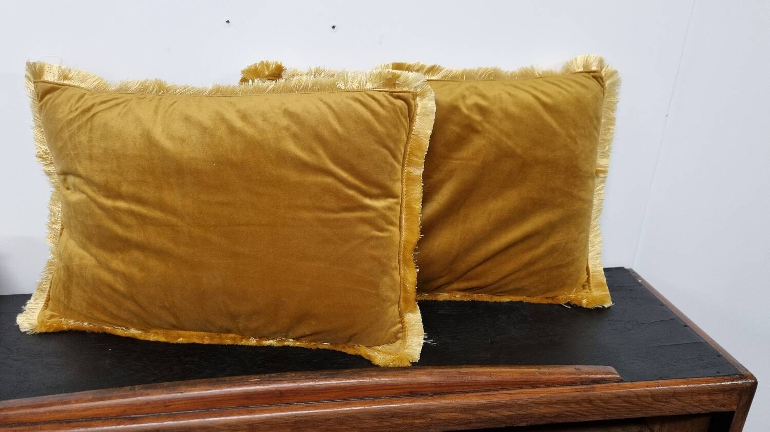 Pair of velvet cushions
