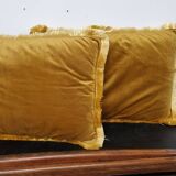 Pair of velvet cushions