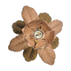 Wall lamp Fleur Flor Art