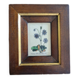 Tableau botanique