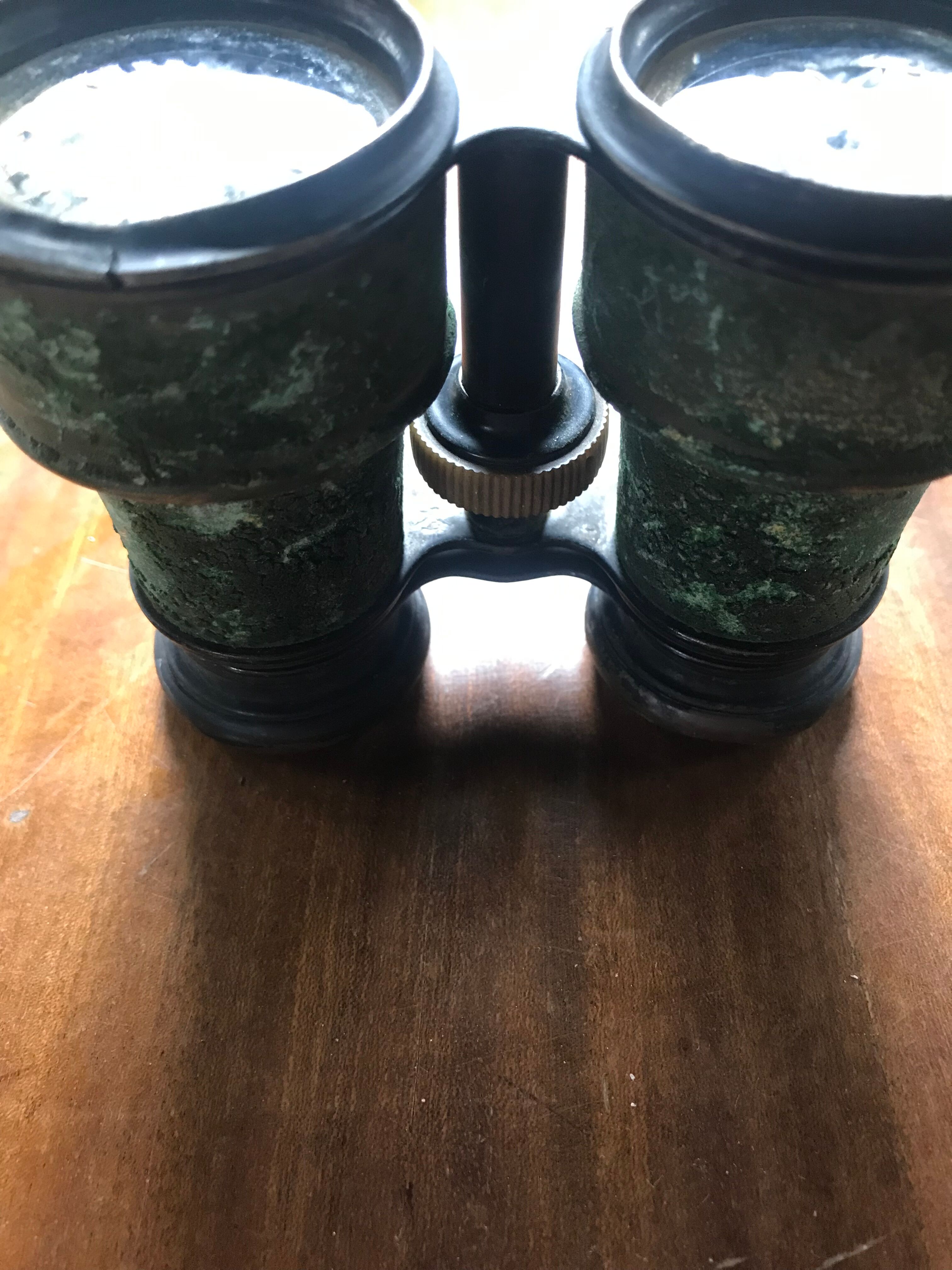 Pair of theater binoculars "deposed Argus"