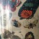Naturalist butterfly poster, early 20th century