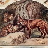 Lithograph on useful animals from 1911