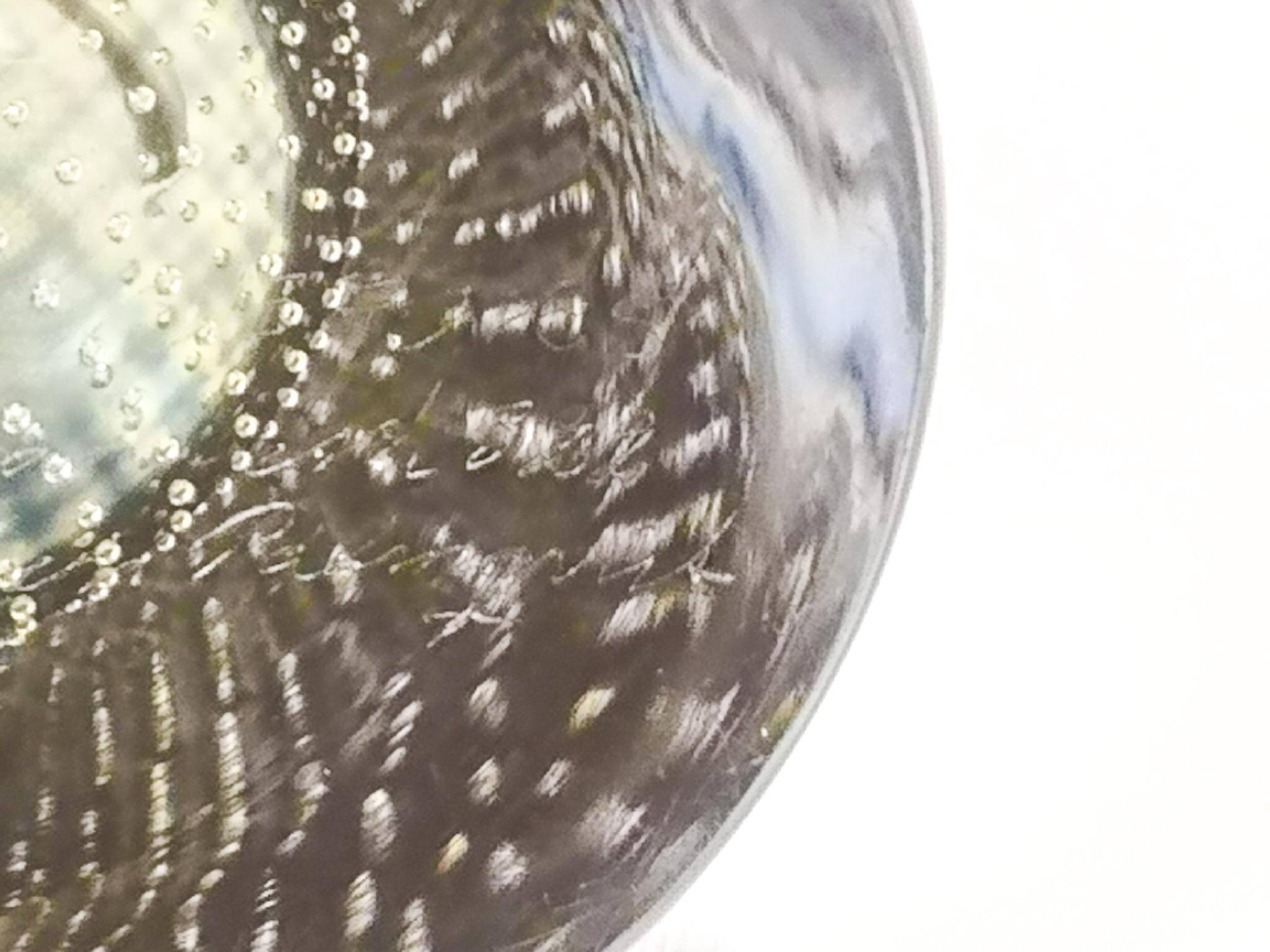 Kraka crystal vase by Orrefors by Sven Palmqvist mid-century