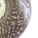 Kraka crystal vase by Orrefors by Sven Palmqvist mid-century