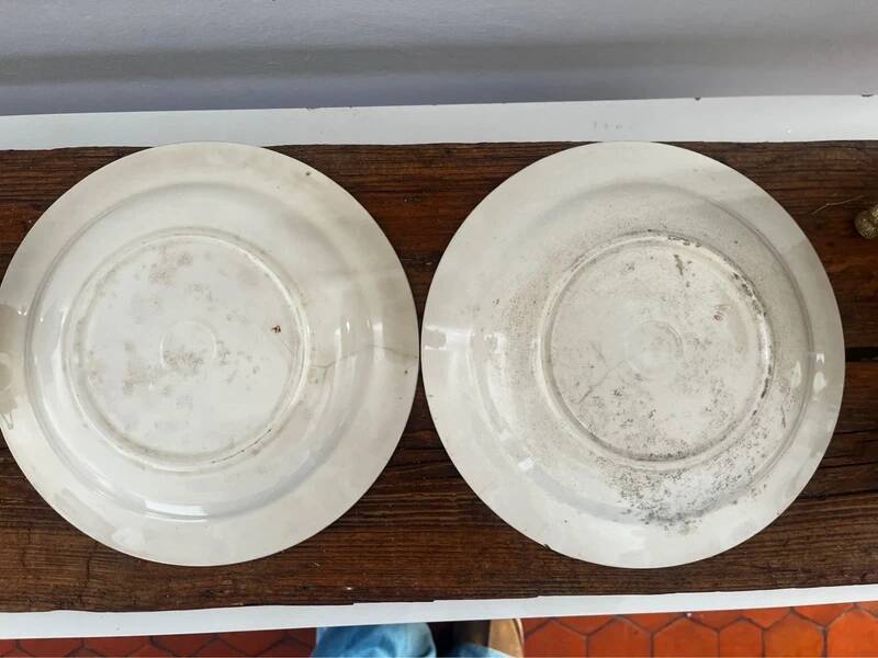 Set of 2 floral porcelain soup plates