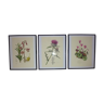 3 pink flower planks framed cyclamen, woolly ciss, lilies