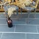 Duo de chaises vintages Luterma
