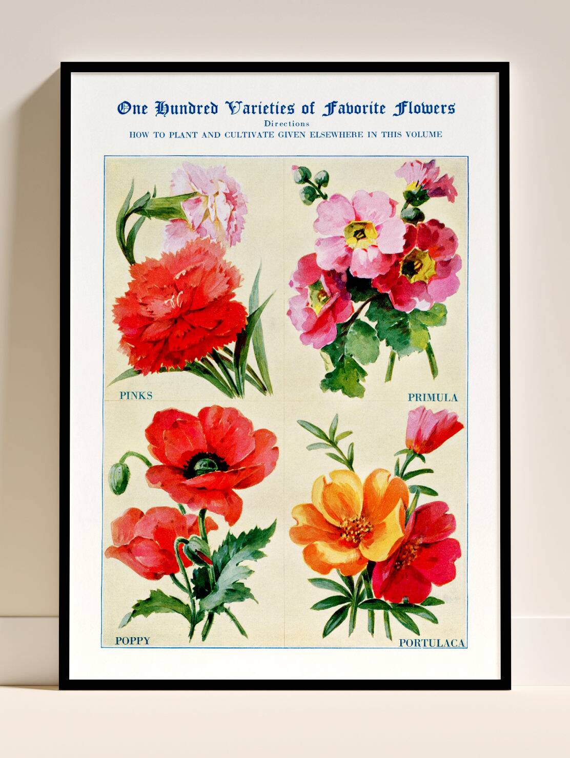 Poster featuring carnations, primroses, poppies, and purslane