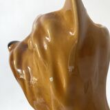 Yorkshire dog slip pitcher