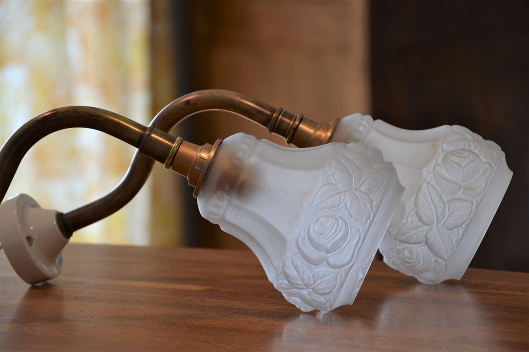 Art nouveau gooseneck wall lamp