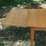 Table 2 extension leaves
