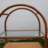Rattan library