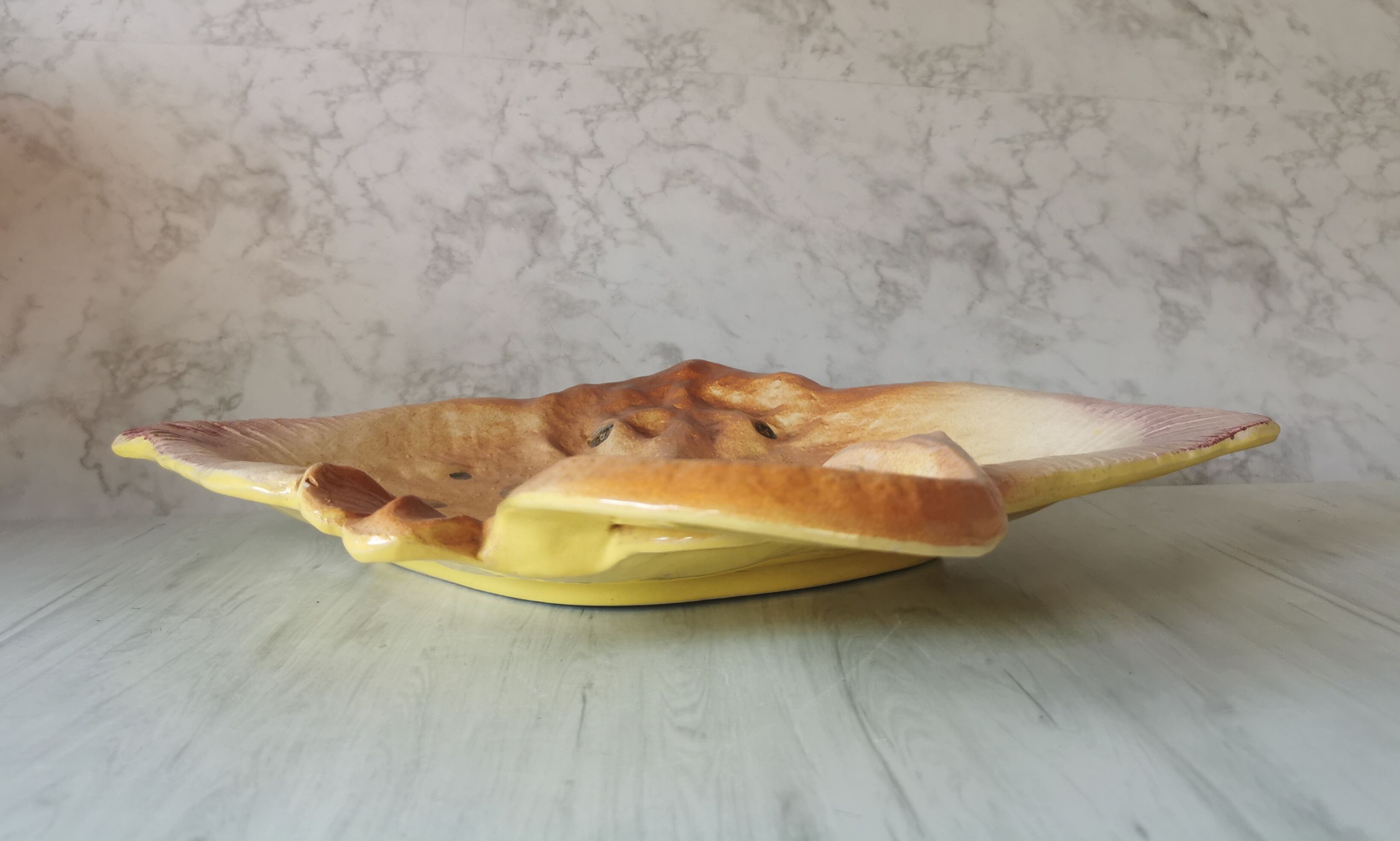 Zoomorphic dish ray