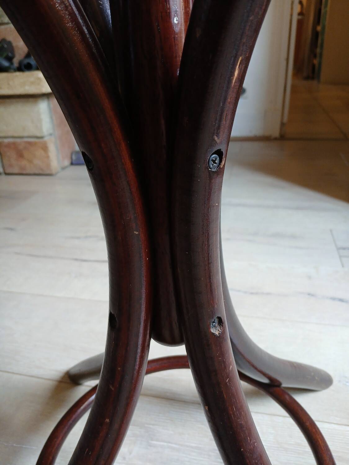 Porte manteau perroquet