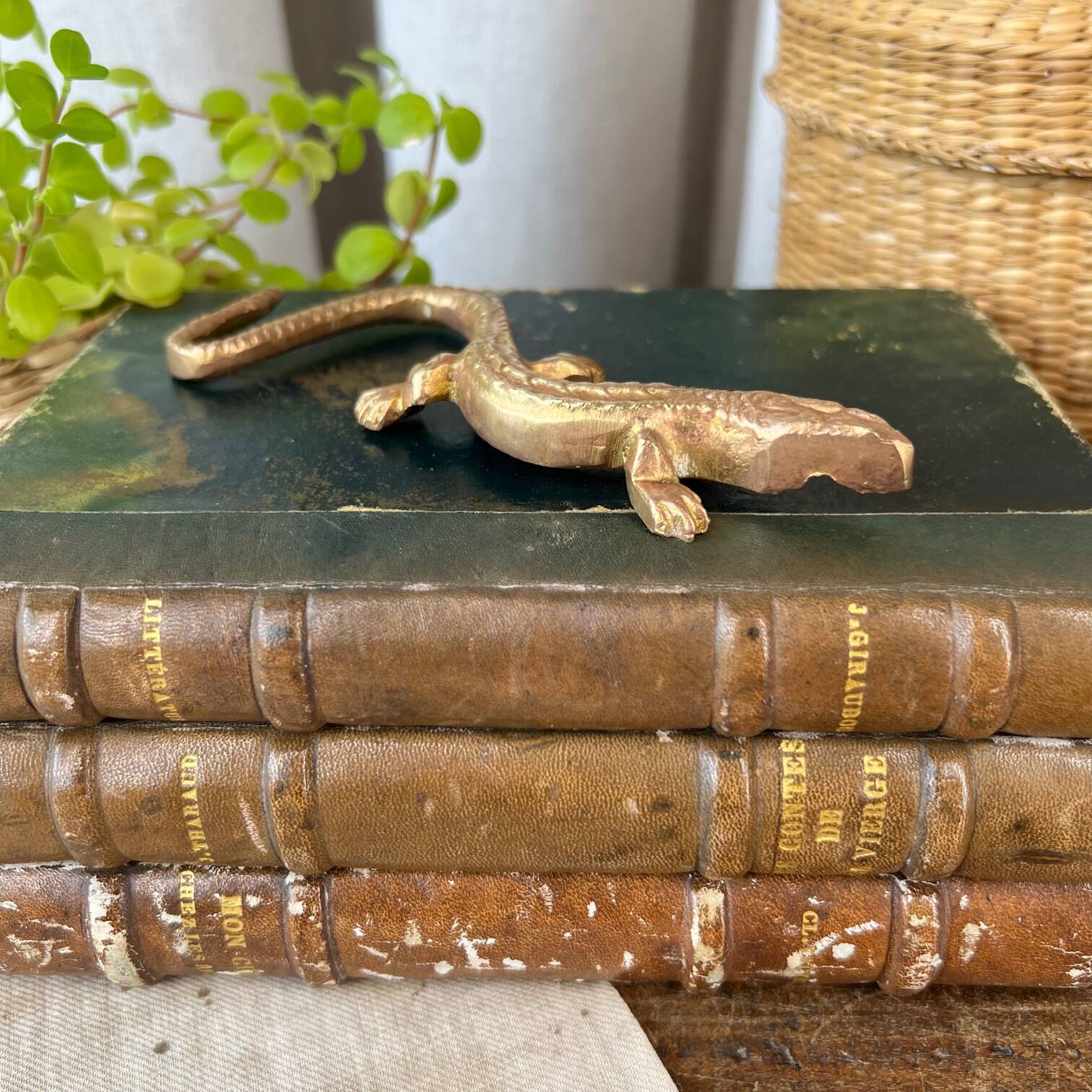 Small brass lizard