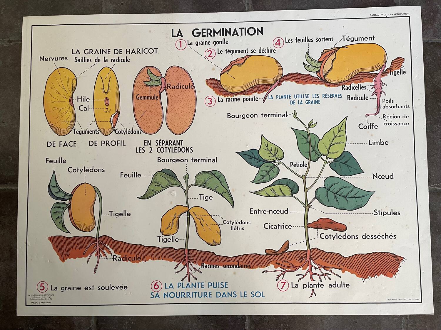 Old school educational poster, school