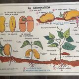 Old school educational poster, school