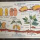 Old school educational poster, school