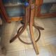 Porte manteau perroquet Baumann