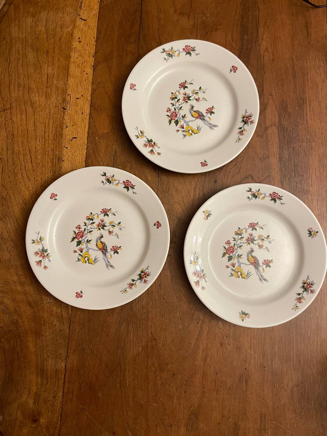 Sarreguemines porcelain plates