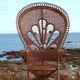 "Emmanuelle" armchair (Peacock chair) in rattan, 20th century