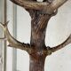 Carved wooden coat rack from the Black Forest, circa 1900.