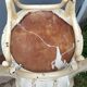 Pair of Baumann chairs made of curved wood