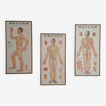 Set of 3 vintage paintings for teaching acupuncture, retro decoration