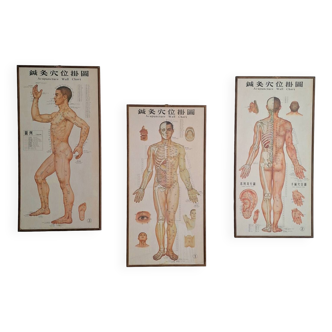 Set of 3 vintage paintings for teaching acupuncture, retro decoration