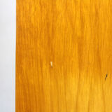 Library Bookcase from Novy Domov, 1960s