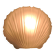 Vintage white opaline glass shell wall light – Ann wall lamp