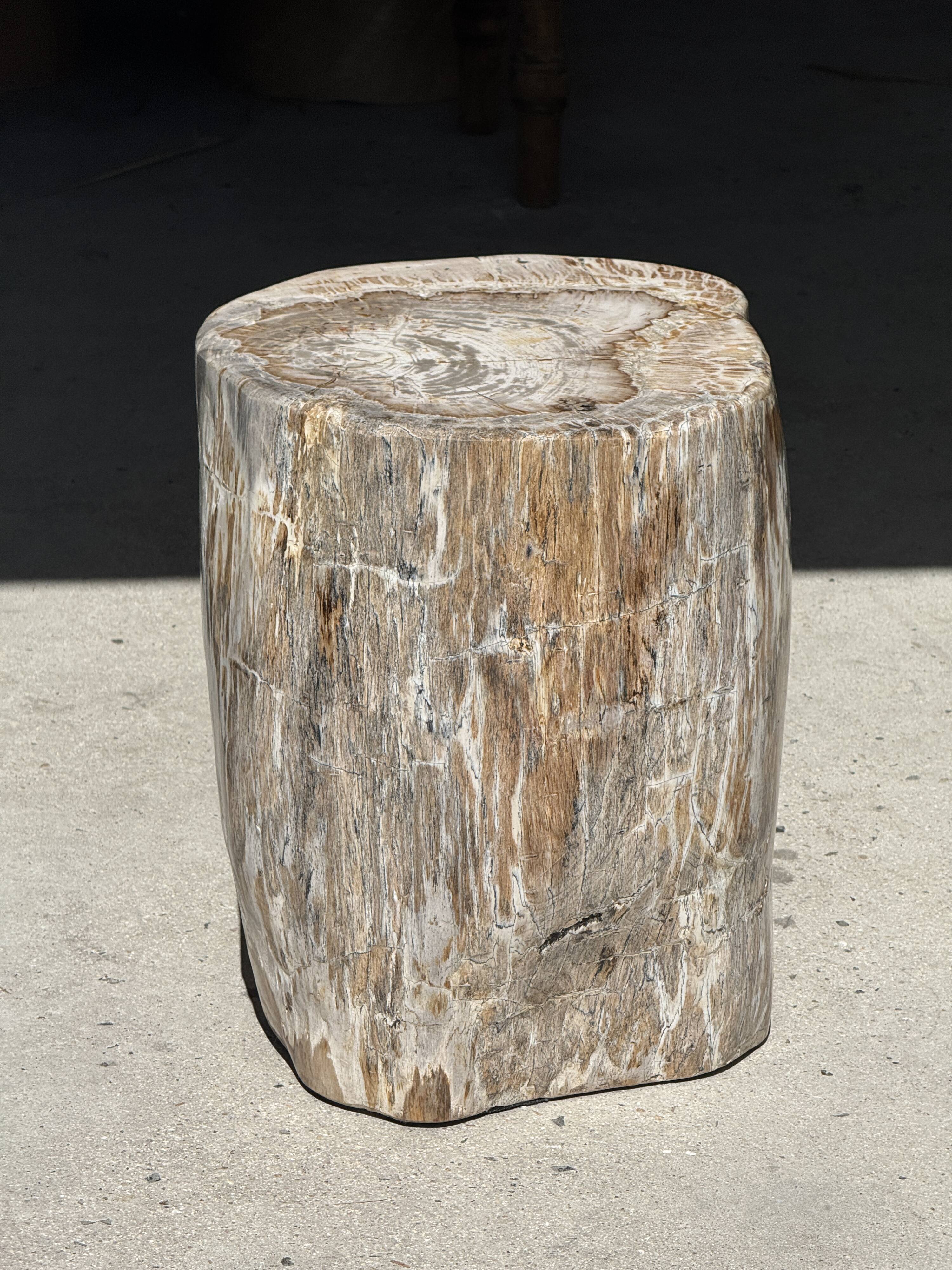 Very large white and grey petrified wood side table H45 D39 - 334