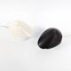 Pair of Bauhaus bakelite table or wall lights by Elektrosvit, 1950s
