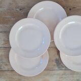Set of 5 vintage earthenware plates