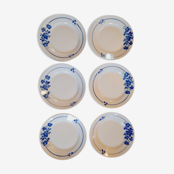 Set 6 assiettes plates fleurs bleues