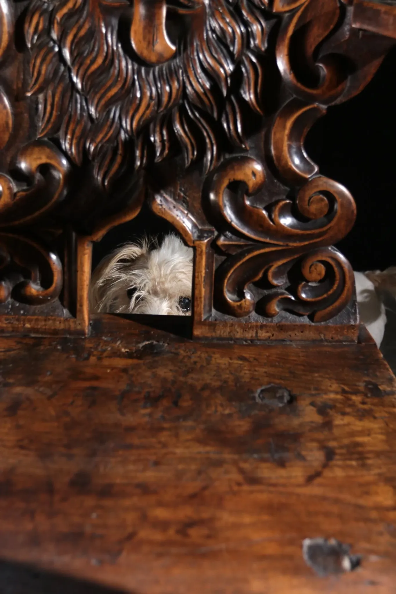 17th century Alpine carved walnut Brettstuhl armchair with grotesque mask