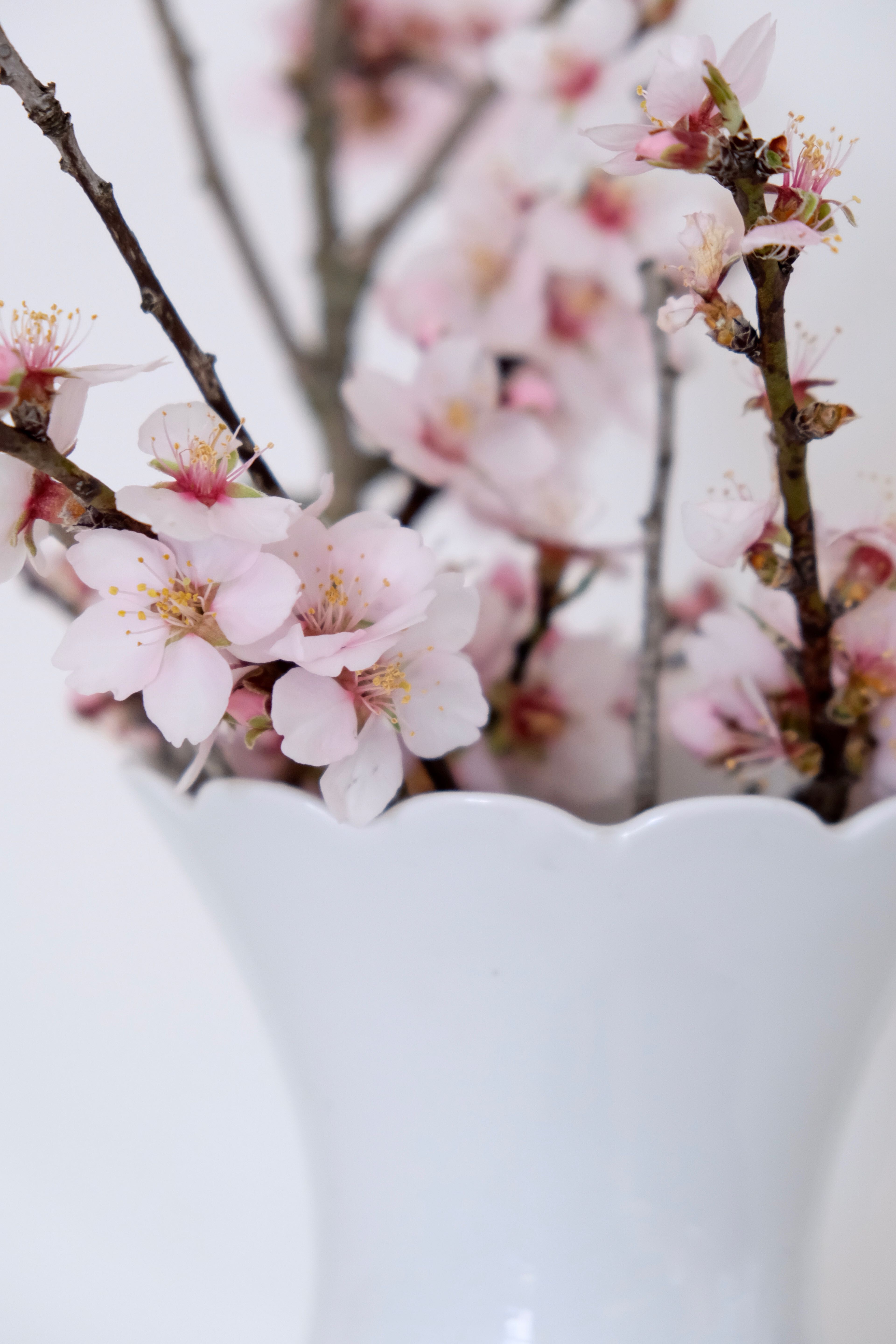 White vase Bareuther Waldsassen 50s