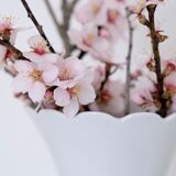 White vase Bareuther Waldsassen 50s