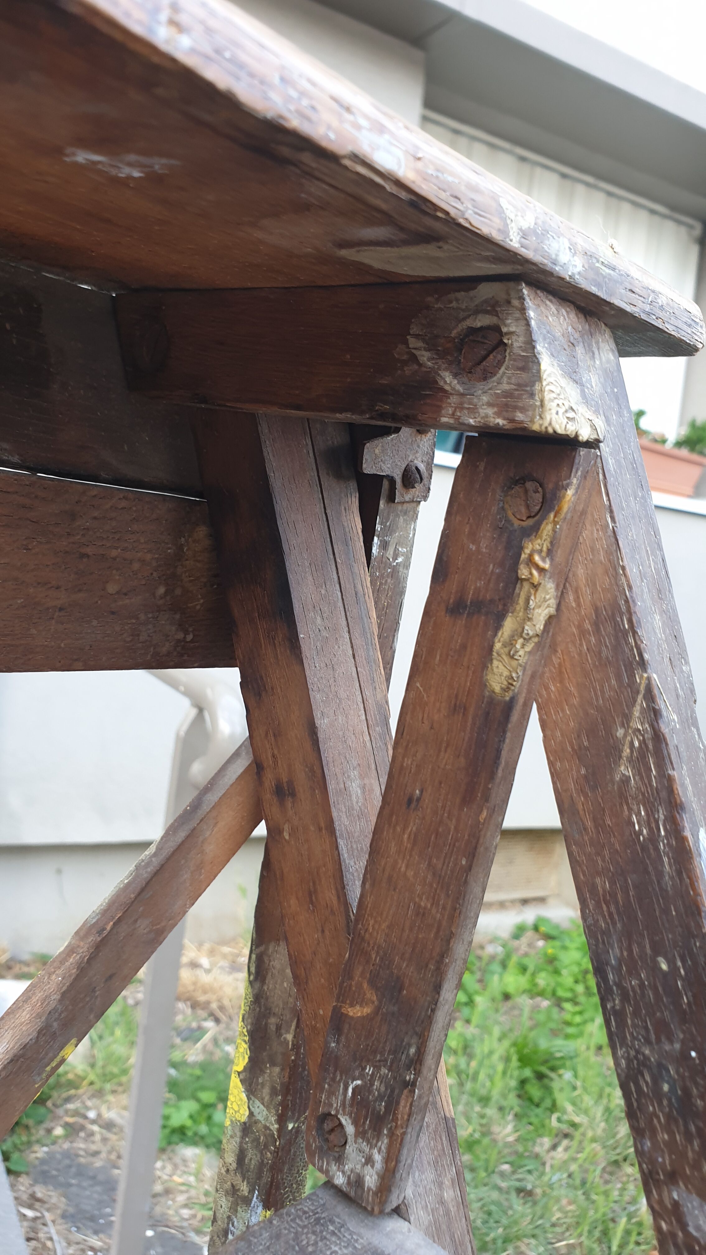 Painter's stepladder in solid beech