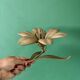 Cendrier vintage en laiton en forme de fleur
