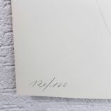 Space Age print by Johannes Burla entitled "rotating plastic"