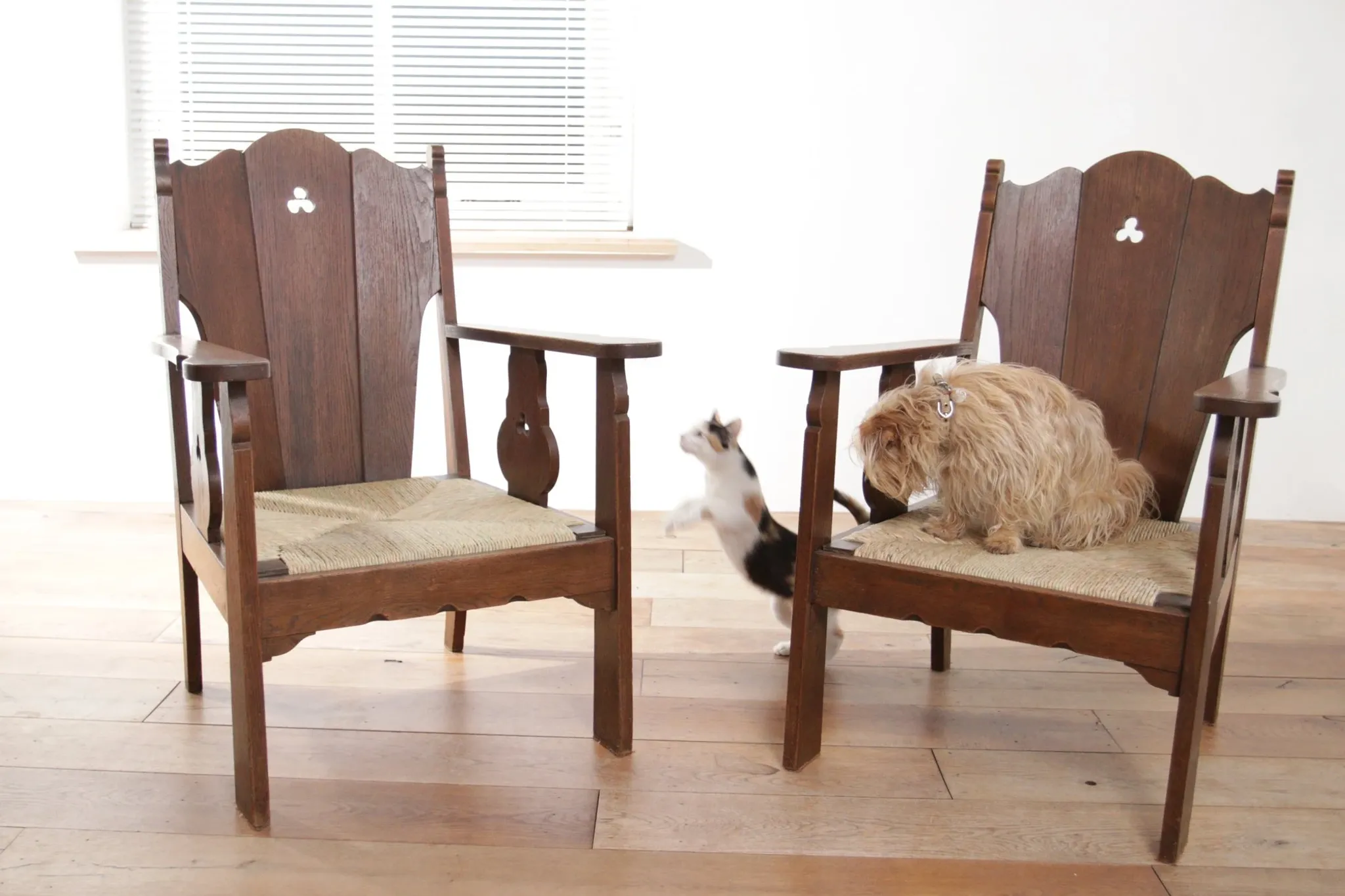 Pair of low Brutalist oak lounge chairs with new rush seats – circa 1935