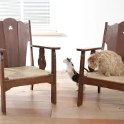 Pair of low Brutalist oak lounge chairs with new rush seats – circa 1935
