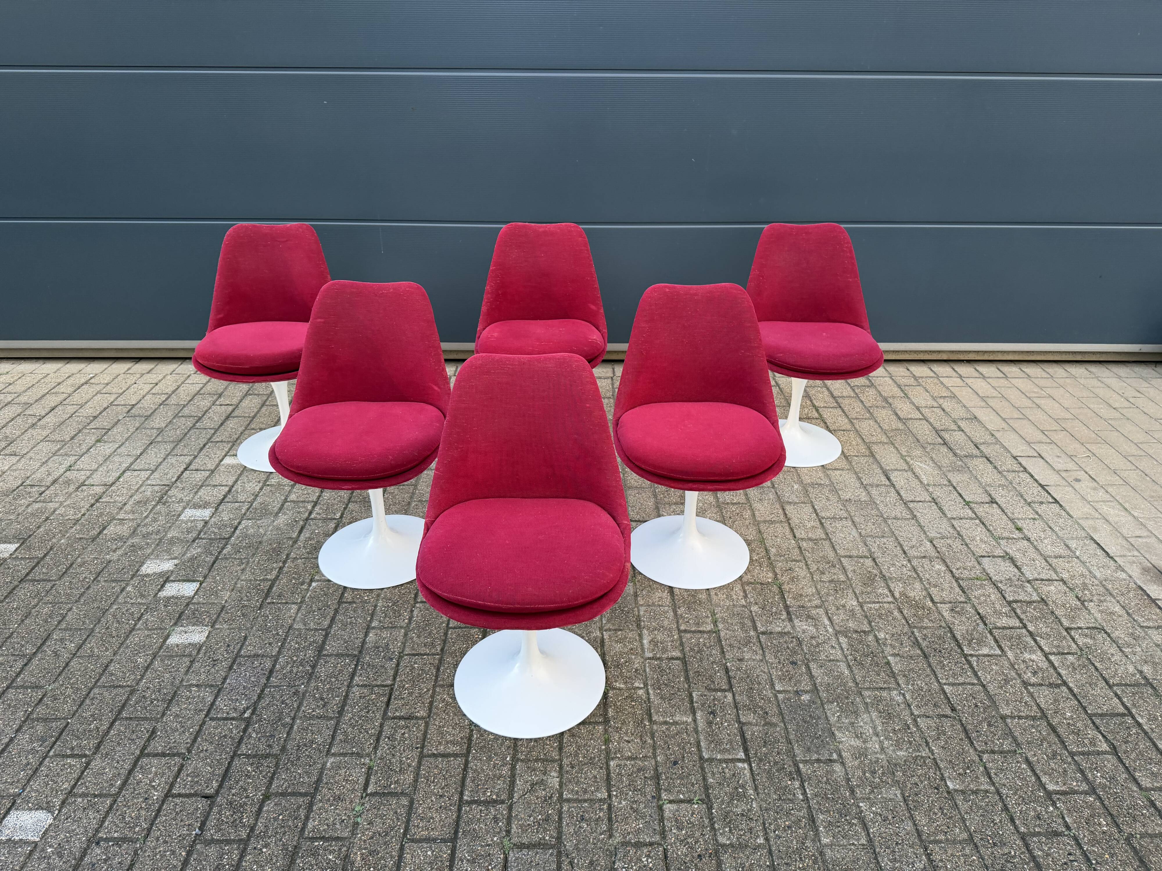 6 original vintage Knoll Tulip chairs by Eero Saarinen