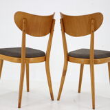Ensemble de quatre chaises de salle à manger des années 1950, Tchécoslovaquie