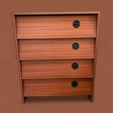 Teak veneer shoe cabinet, 1960s