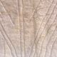 Tapis Mrirt d'exception 285 x 192 cm